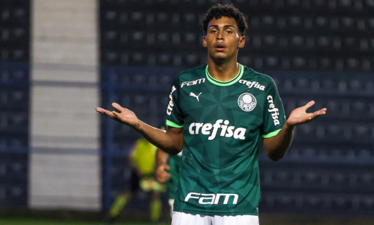 Luighi Palmeiras