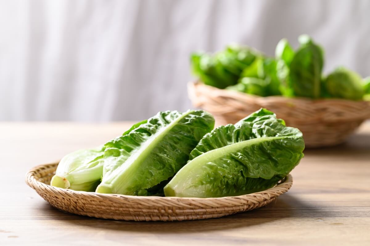 Lattuga è un cibo versatile e promuove la salute fisica e mentale 