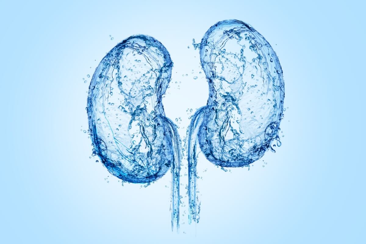 O câncer renal é uma doença que merece atenção 