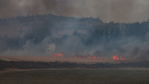Incêndio florestal irrompe no centro de Israel