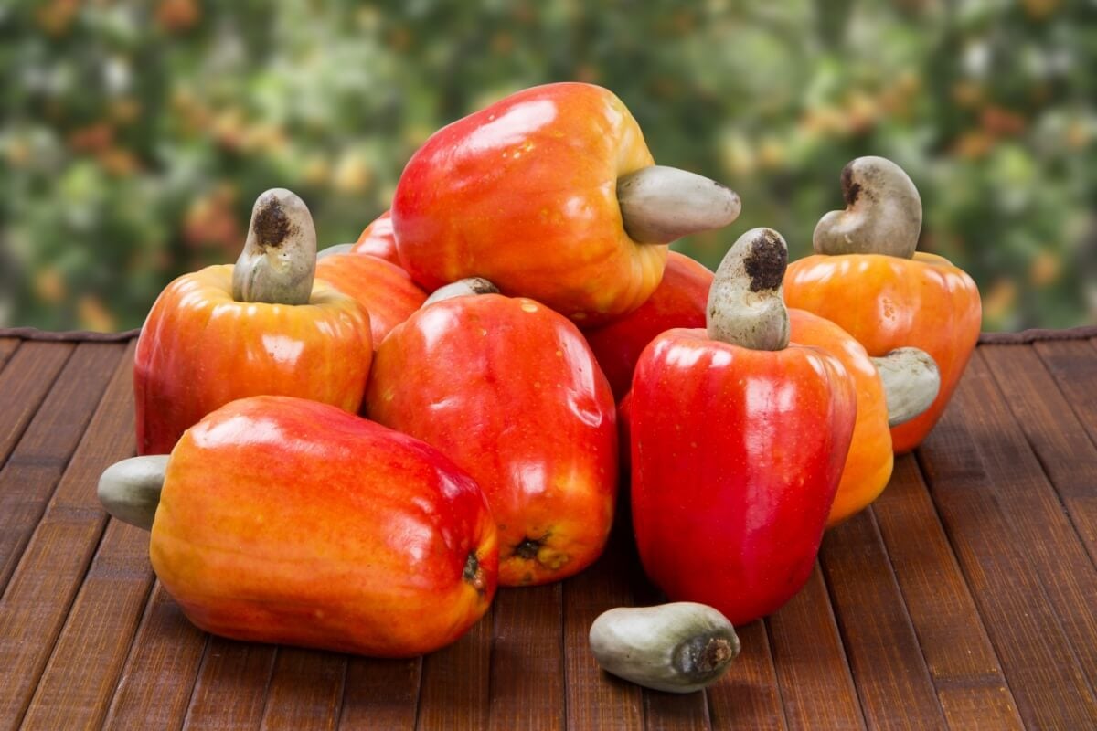 O caju é rico em nutrientes essenciais para o bom funcionamento do organismo 