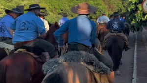 Cavalgada da Amizade