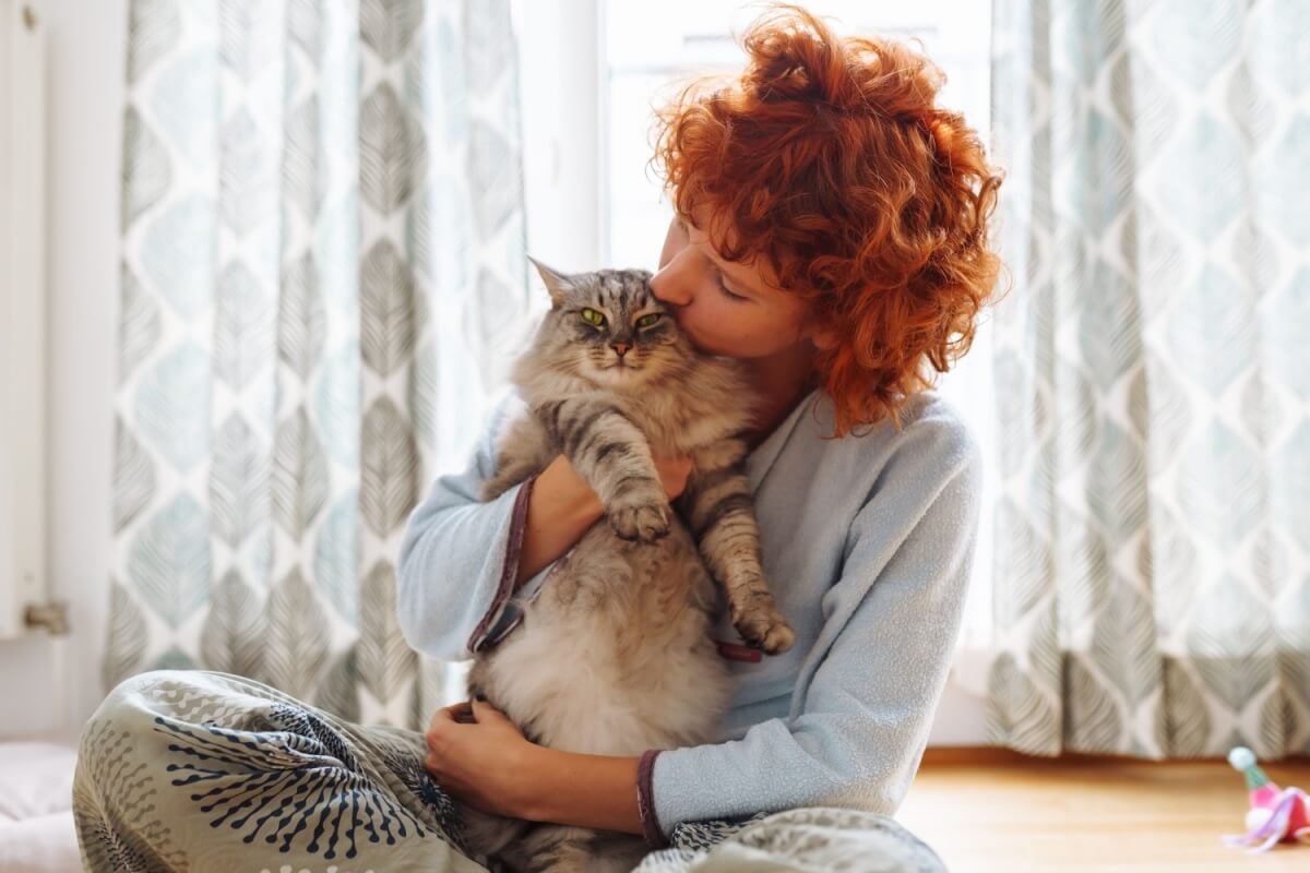 Cuidados com os gatos vão além de oferecer comida e abrigo