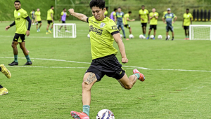 Miquelito
