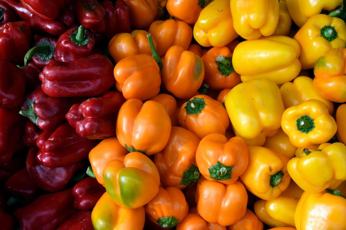 O pimentão é rico em nutrientes essenciais para a saúde do corpo 