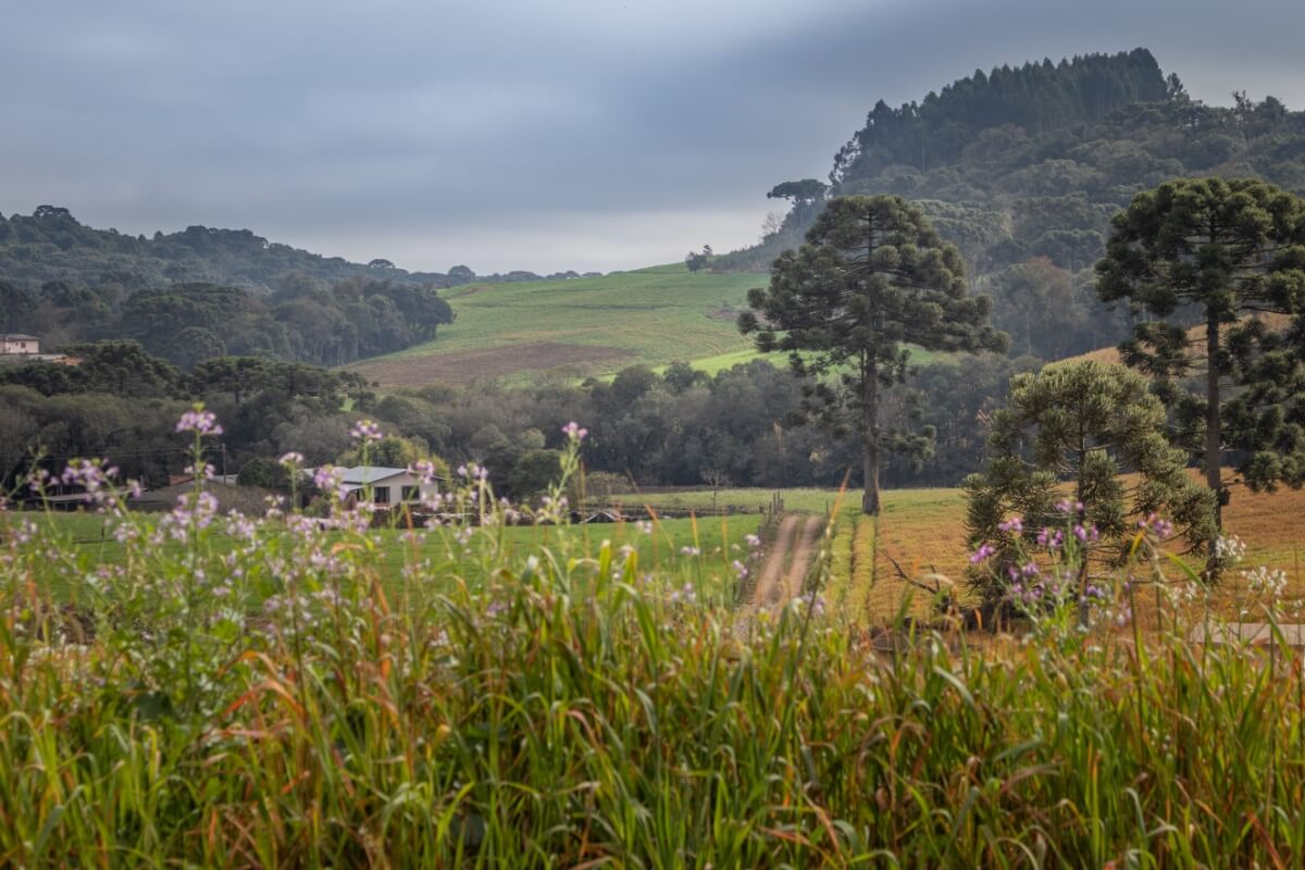 O Brasil tem diversas opções de destinos encantadores e aconchegantes para aproveitar o inverno 