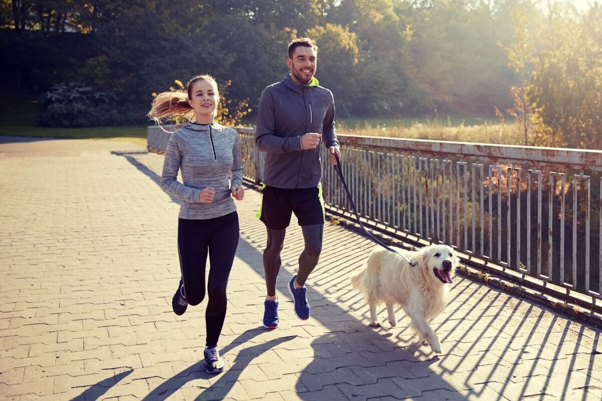 Praticar atividade física com o cachorro melhora a qualidade de vida do animal e fortalece o vínculo com o tutor 