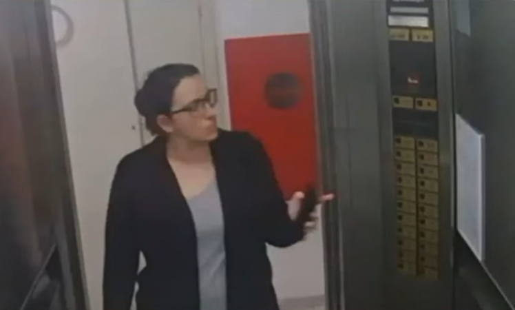 A professora Fernanda Bonin