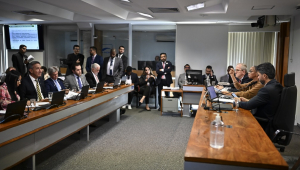 MINISTRA MARINA SILVA NA COMISSÃO SENADO