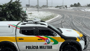 Polícia neve