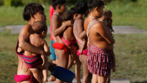 Número de óbitos de indígenas Yanomami cai 21% em 2024