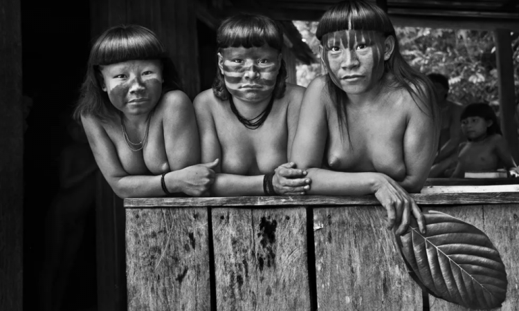 Indigenous Suruwah, and Amazons