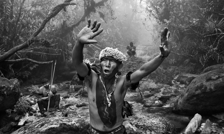 Yanomami shaman in ritual during the climb to the peak of fog, state of Amazonas, Brazil, 2014 -
