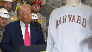 Montagem Trump e Harvard