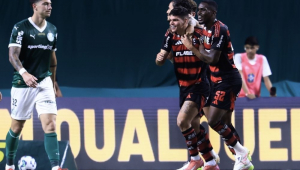 palmeiras x flamengo