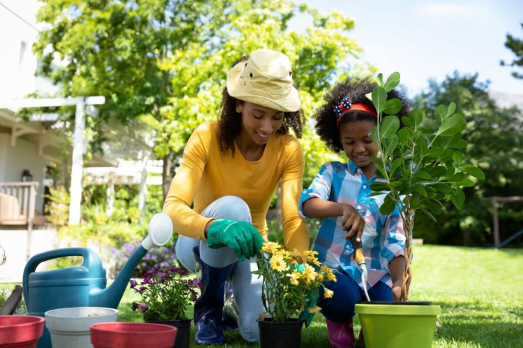 Veja hortaliças e flores ideais para cultivar em maio