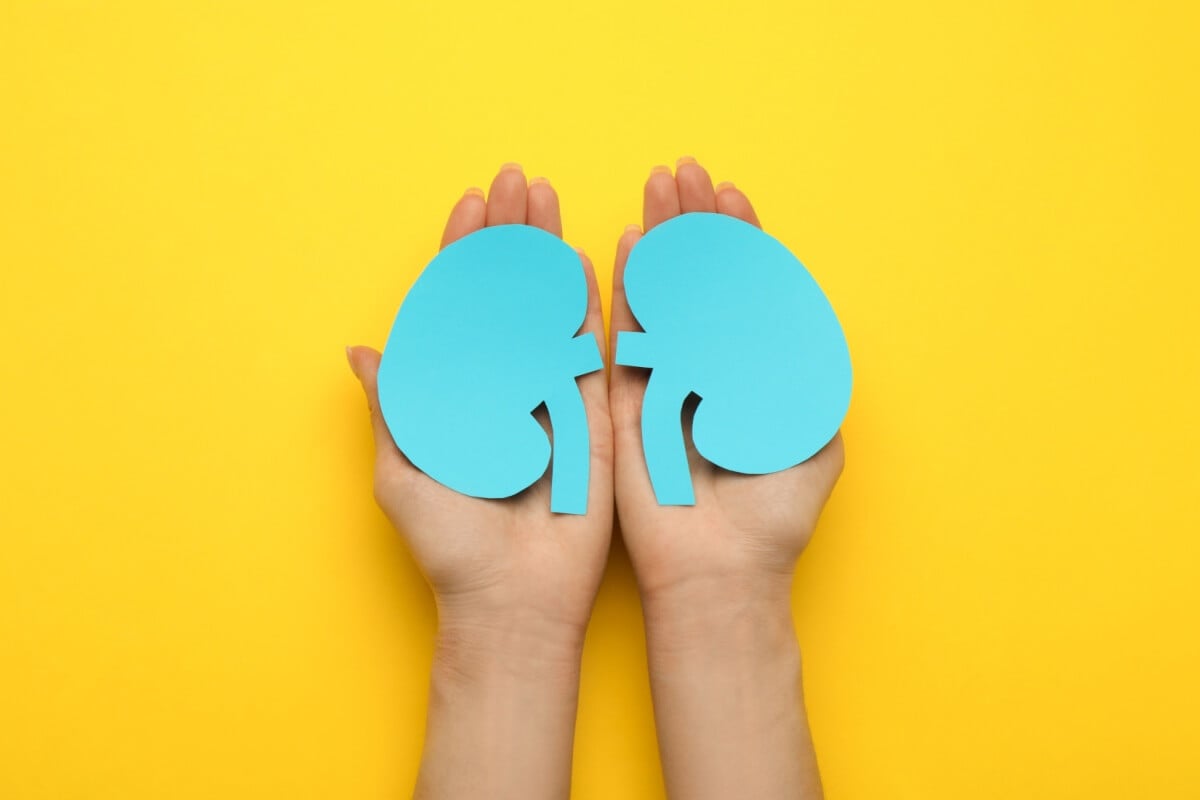 A hipertensão pode prejudicar seriamente a saúde dos rins 