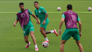 Treino Palmeiras