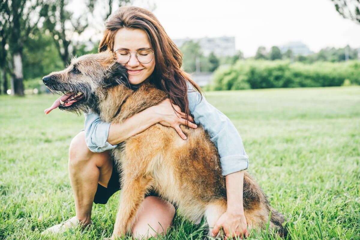 Para garantir a segurança e o bem-estar de todos, algumas atitudes durante o resgate dos animais são essenciais 