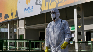 BRASIL-AGRICULTURA-SAÚDE-GRIPE AVIÁRIA-ZOOLÓGICO