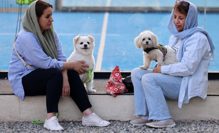 Iranianos sentados com seus cães em um parque em Teerã, em 8 de junho de 2025. As autoridades iranianas expandiram a proibição de passear com cães em público para várias cidades do país, alegando preocupações com a saúde pública, a ordem social e a segurança, informou a mídia local em 8 de junho. Ter e passear com cães tem sido um tema controverso desde a Revolução Islâmica de 1979 no Irã, embora não haja nenhuma lei que proíba totalmente a posse de cães