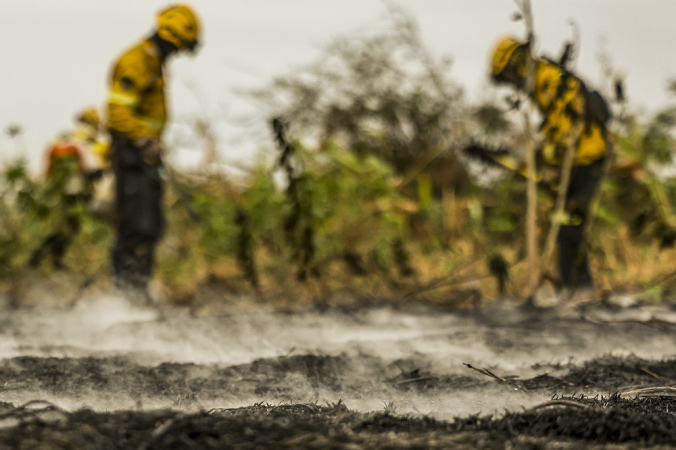 Com o auxílio de aviões, brigadistas do Prevfogo/Ibama combatem incêndios florestais no Pantanal