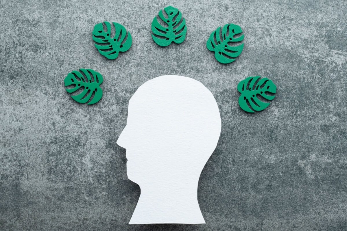 Tristeza, ansiedade e depressão são sinais comuns da solastalgia 