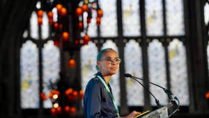 Marina Silva em participação no Fórum de Inovação Climática (Climate Innovation Forum) e jantar de alto nível da London Climate Action Week (LCAW) Fotos: Fernando Donasci/MMA