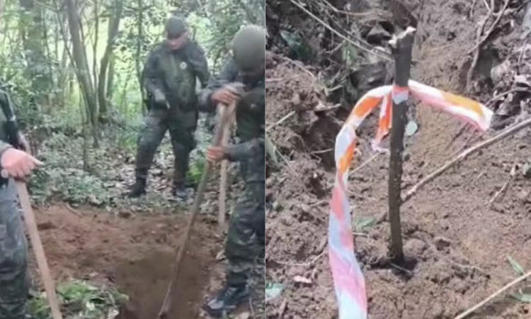 Cemitério clandestino com mais de 10 ossadas é encontrado na Zona Sul de SP