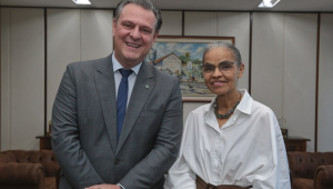 Carlos Fávaro e Marina Silva