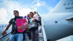 imigrantes brasil