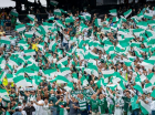 torcida do palmeiras