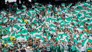torcida do palmeiras