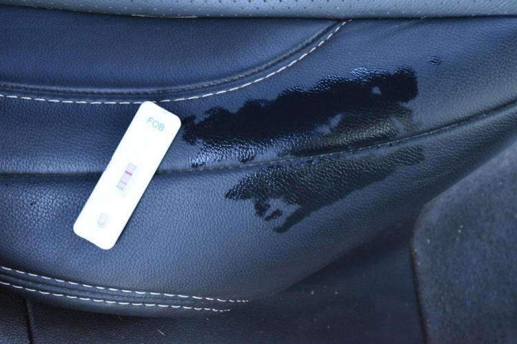Imagem do laudo realizado pela Polícia Científica no carro de Adalberto Amarilio dos Santos Júnior