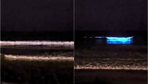 Mar neon em Santa Catarina