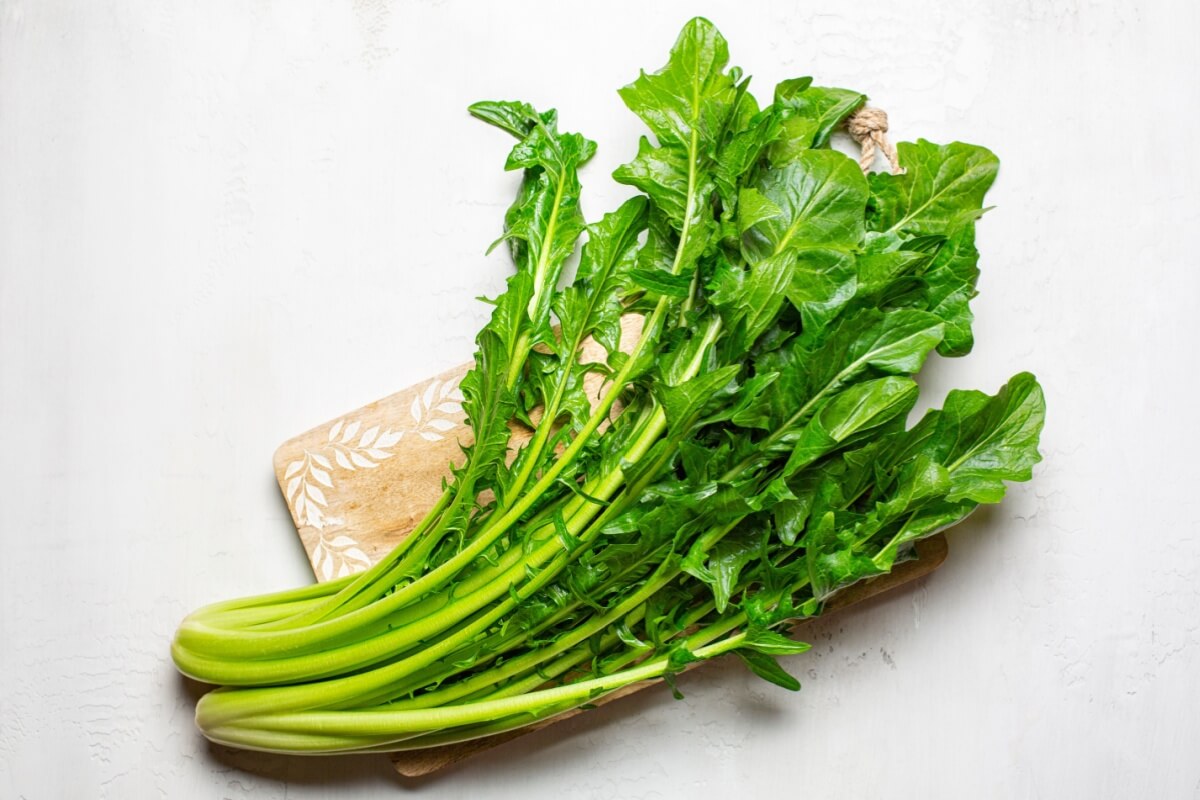 A chicória é rica em nutrientes que beneficiam o funcionamento correto do organismo 