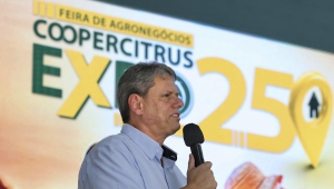 Tarcísio de Freitas