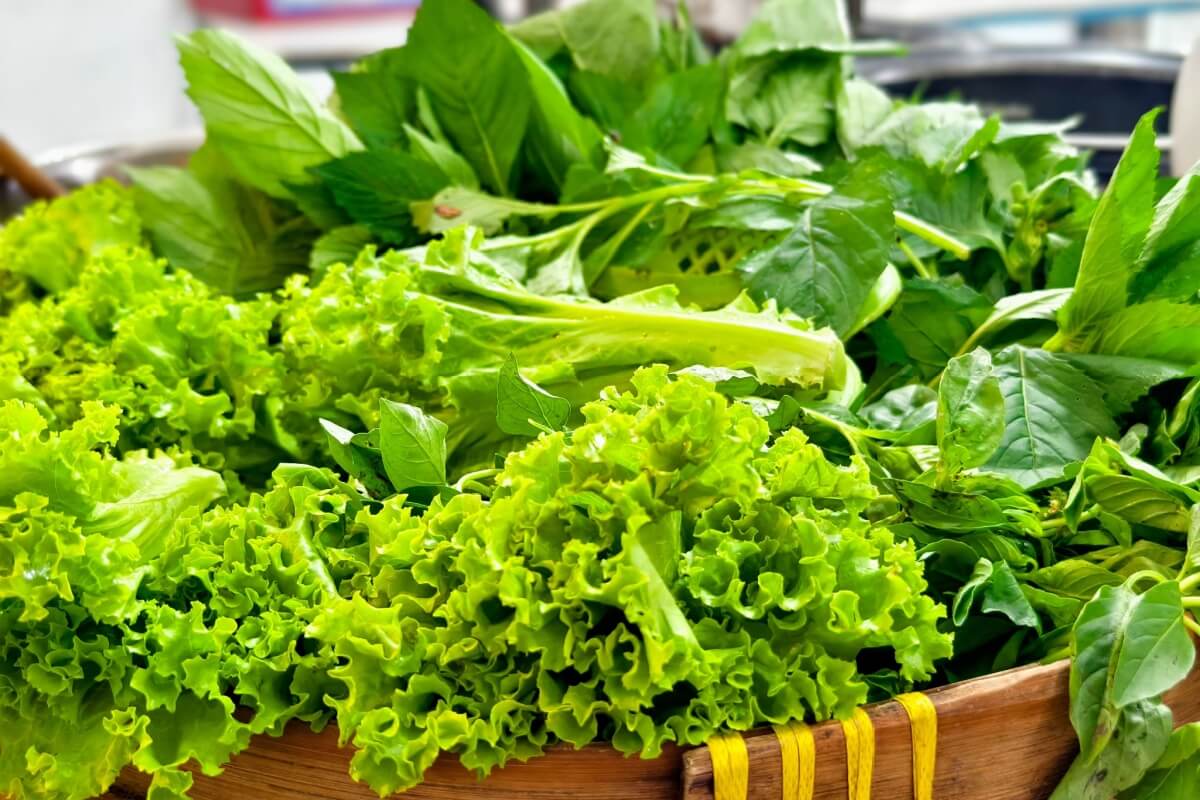 O consumo regular de folhas verdes traz benefícios para a saúde física e mental 