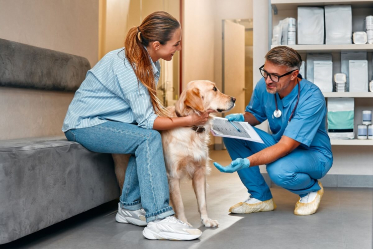 8 dicas para escolher o melhor veterinário para o seu pet 