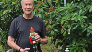 bob wilson
