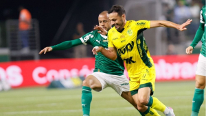 palmeiras e mirassol