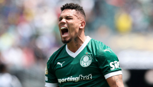 O jogador Paulinho, da SE Palmeiras, comemora seu gol contra a equipe do Botafogo FR, durante partida válida pela oitava de final, da Copa do Mundo de Clubes da FIFA