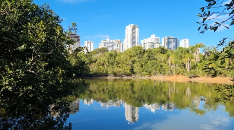 11,8 milhões de brasileiros vivem em áreas de unidades de conservação, revela Censo 2022