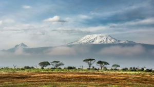 tanzania