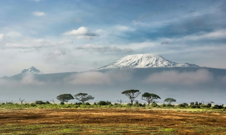 Pesquisadores fazem descoberta surpreendendo e encontram rãs a 4.000 metros de altitude na Tanzânia