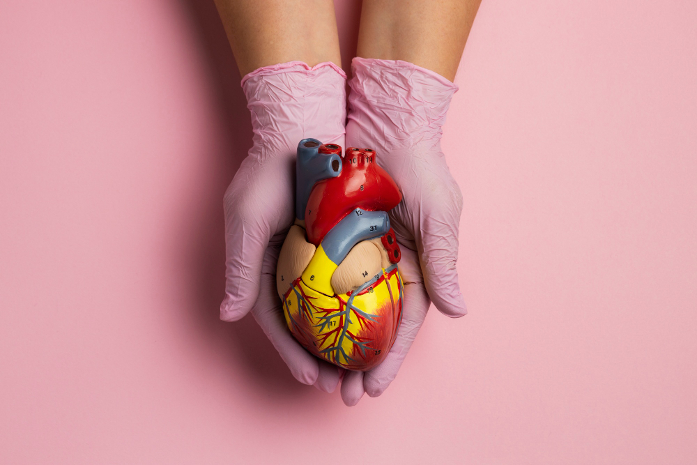 Angioplastia coronária: tratamento minimamente invasivo que salva vidas
