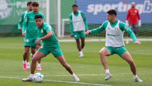 Treino Palmeiras