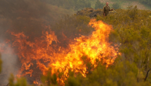 Incêndios Florestais Espanha