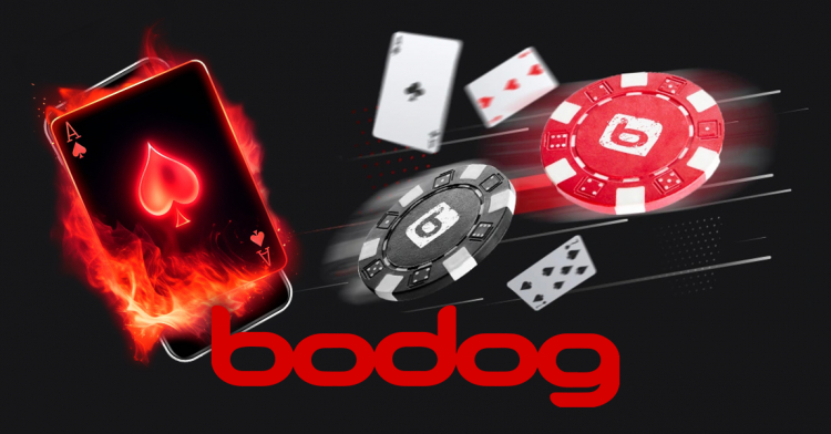 Bodog