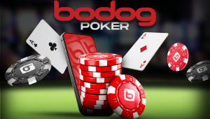 Bodog